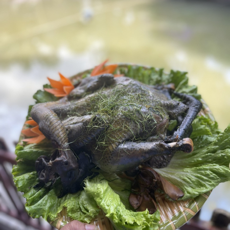 GÀ HƠ MÔNG